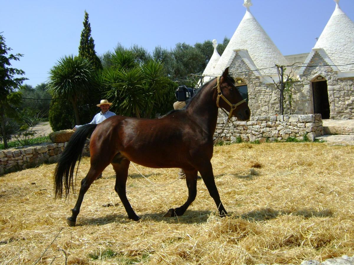 Masseria Sciaiani Piccola Villa Castelli Kültér fotó