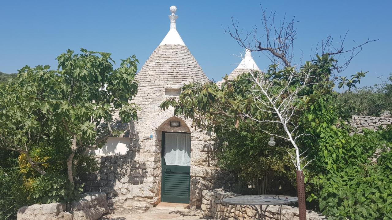Masseria Sciaiani Piccola Villa Castelli Kültér fotó